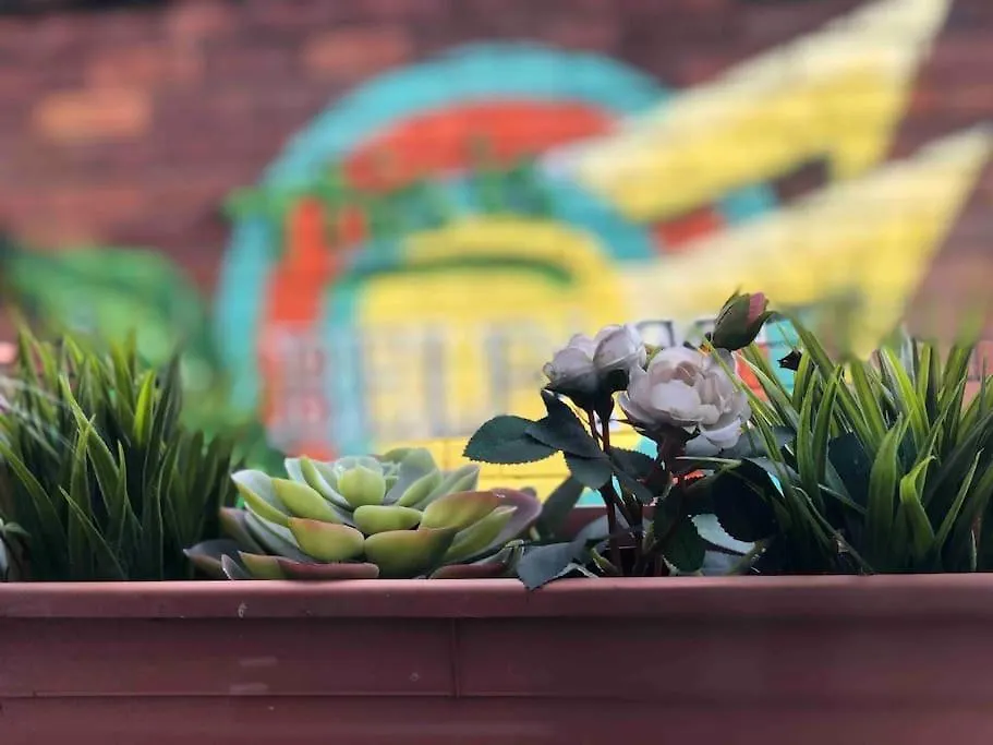 度假居 Cosy Two Bed Terraced House 7Min Drive From City 贝尔法斯特